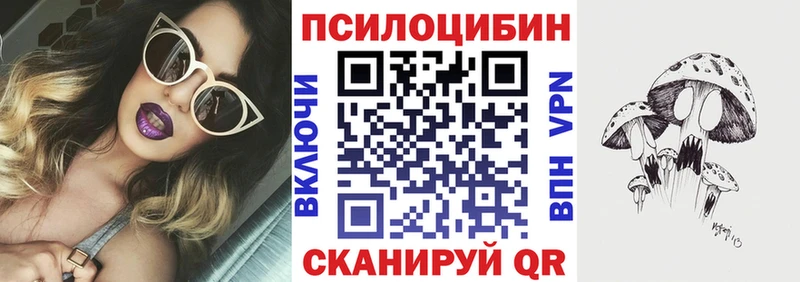 Псилоцибиновые грибы Cubensis  Туран 