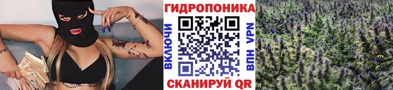 Бошки марихуана семена Туран